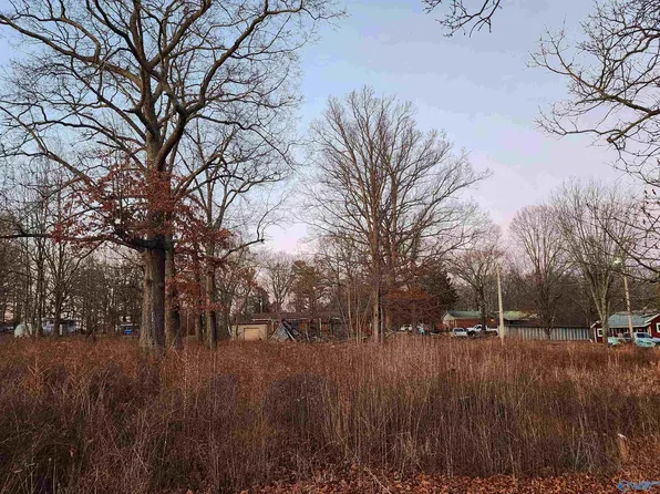 Nappier St, Rainsville, AL 35986