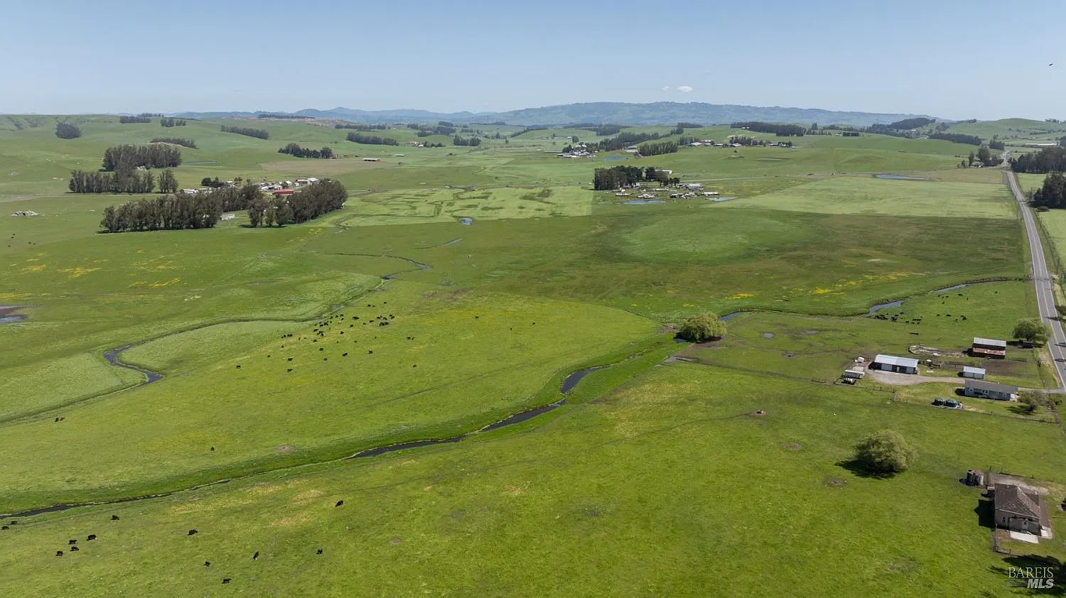 530 Tomales Road - Photo 12