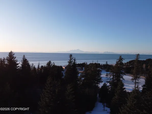 35048 Spruce View St, Anchor Point, AK 99556
