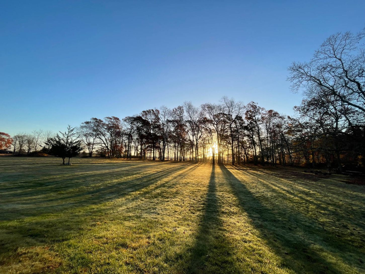  Sunrise in Winter