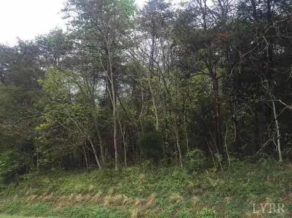 0 Partridge Creek Rd, Amherst, VA 24521