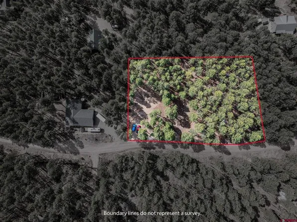 272 Timber Drive, Bayfield, CO 81122