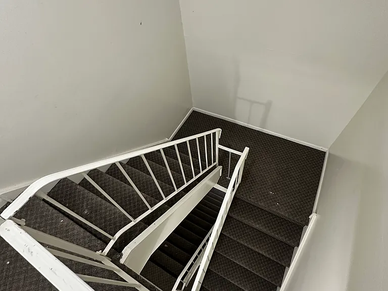 4000 Gypsy Ln #335 — Photo 9