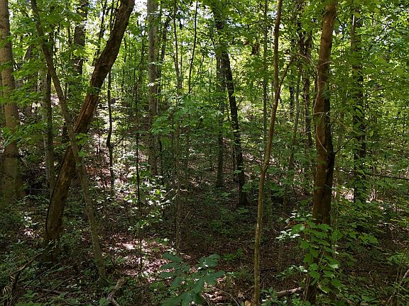 3rd image of LOT 195 Fern Valley Trl