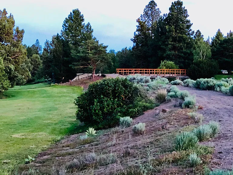 20755 Canterbury Ct — Photo 23