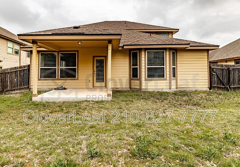 3734 Ox Eye Daisy — Photo 43
