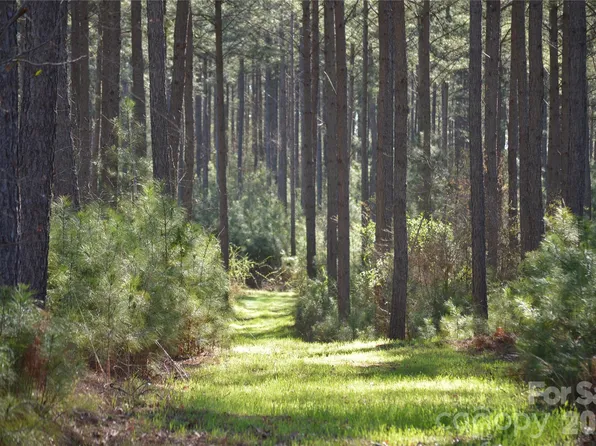 0 Peter Hawk Creek Rd #12, Jonesville, SC 29353