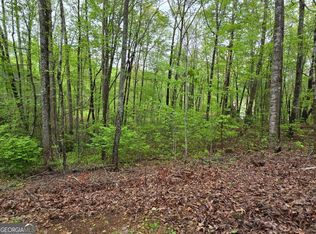 69 Chatuge Ln, Hayesville, NC 28904