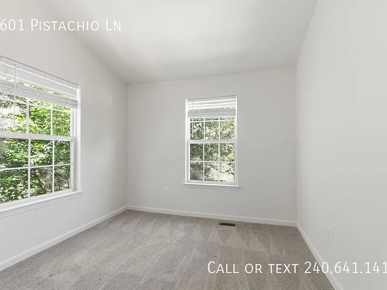 4601 Pistachio Ln — Photo 17