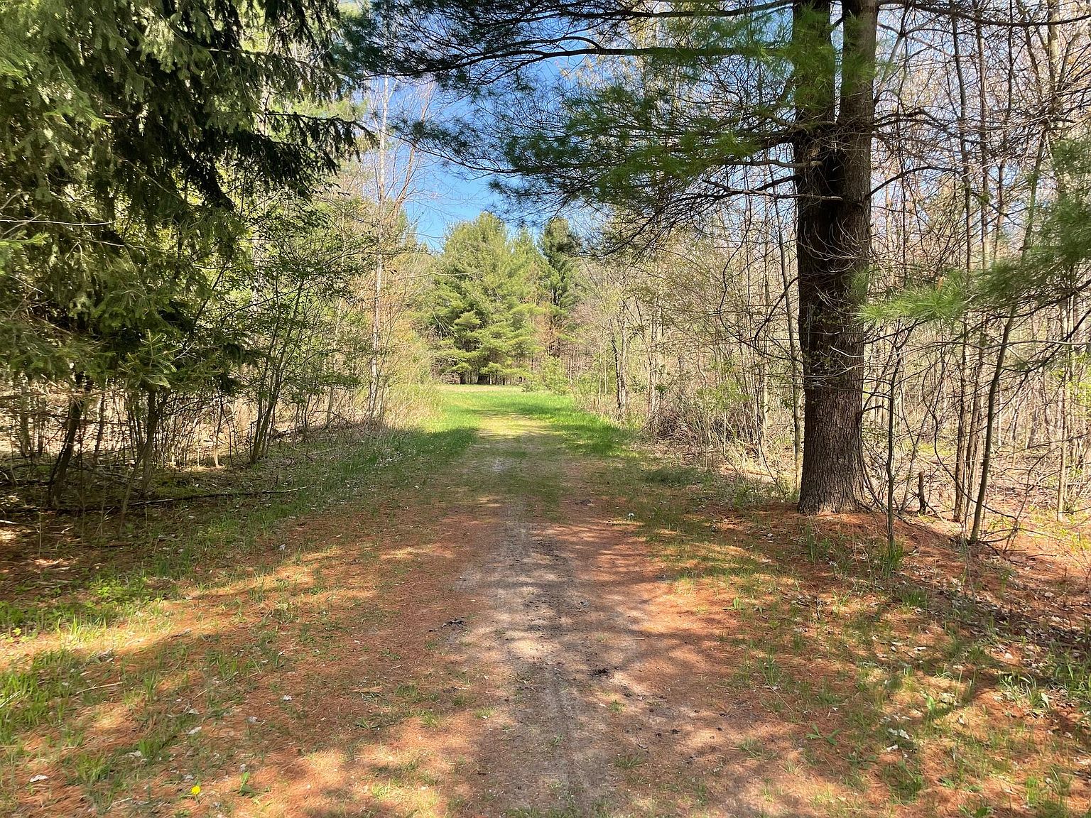 V/l N Benson Rd, Fountain, MI 49410 | Zillow