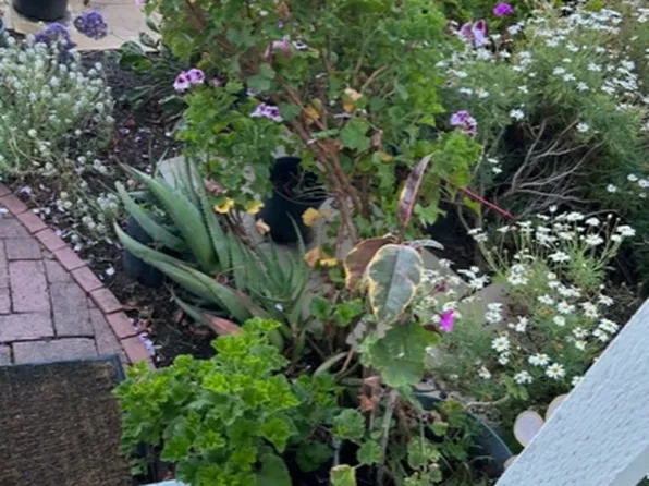 (undisclosed Address), Seaside, CA 93955