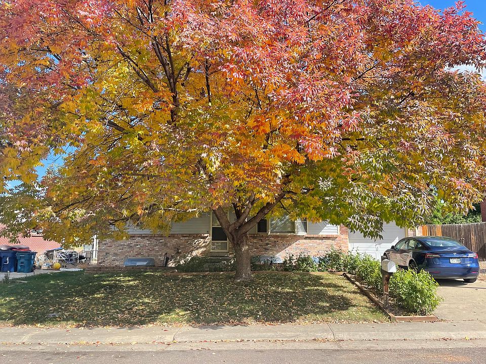 Beautiful landscaped yard with mature tree.