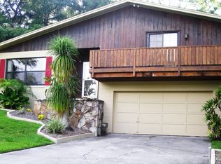 425 N Rossiter St, Mount Dora, FL 32757