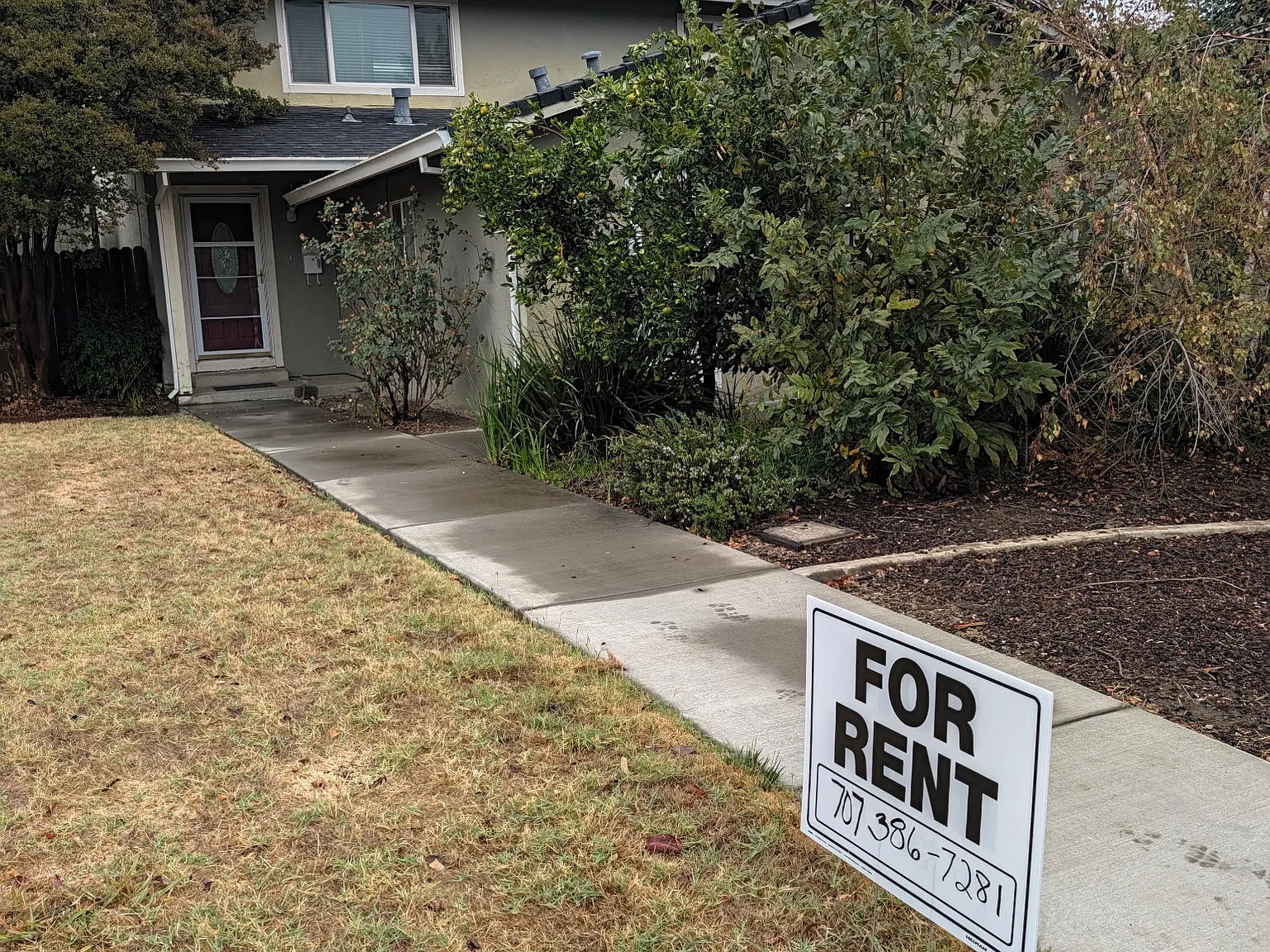 3 bed, 1100 sqft, $2,500 — Photo 3