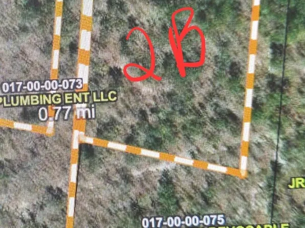 2B Briarwood Dr, Williston, SC 29853