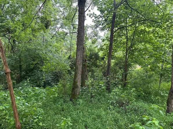 3 Sawmill Rd Lot 3, Palmer, TN 37365