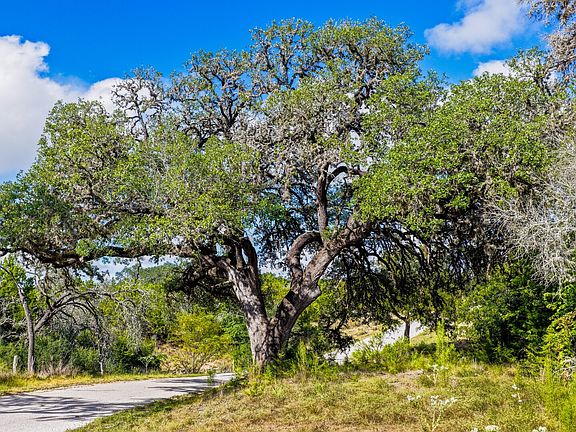 3rd image of 174 UPPER MASON CREEK RD LOT 30