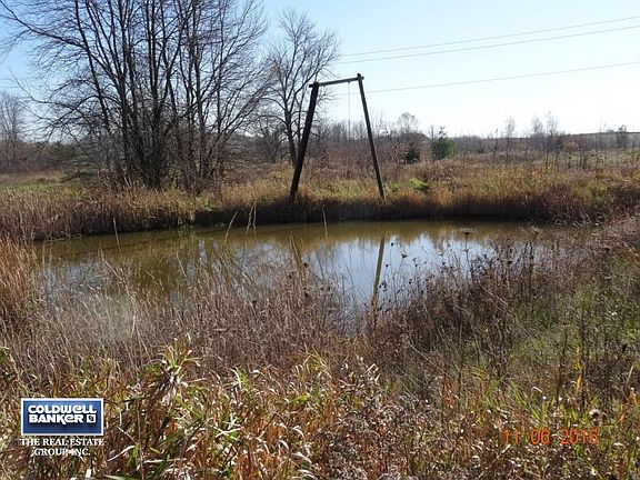 Close Up of Pond Behind Barn