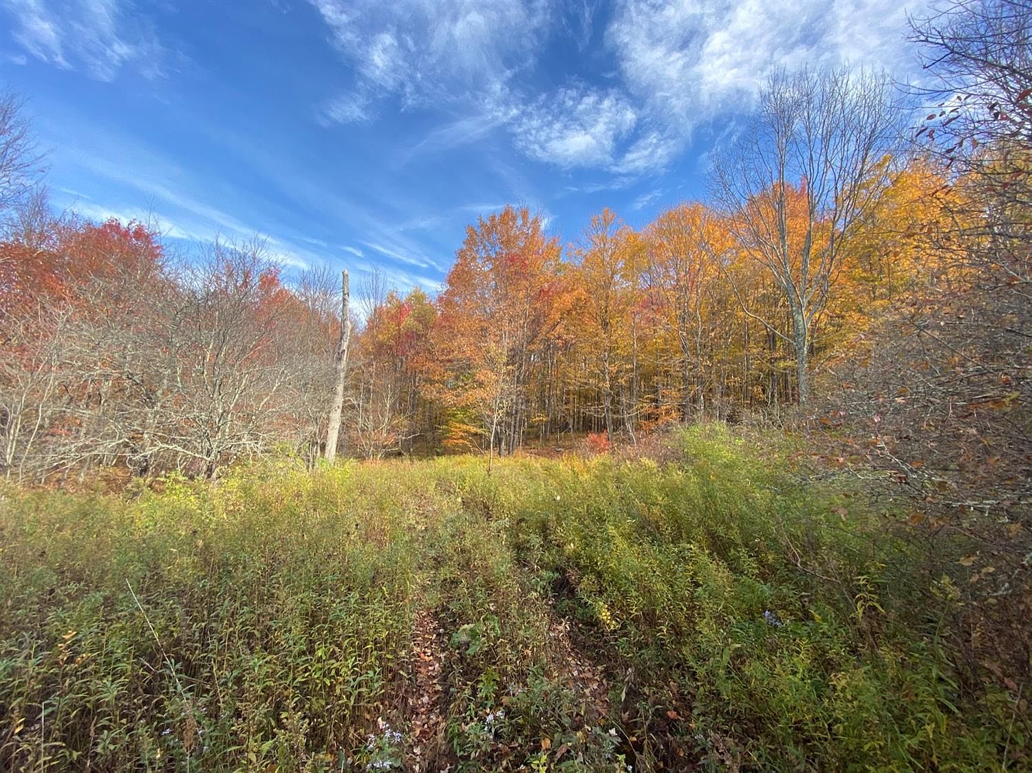 669 Scutt Mountain Rd, Bloomville, NY 13739 Zillow