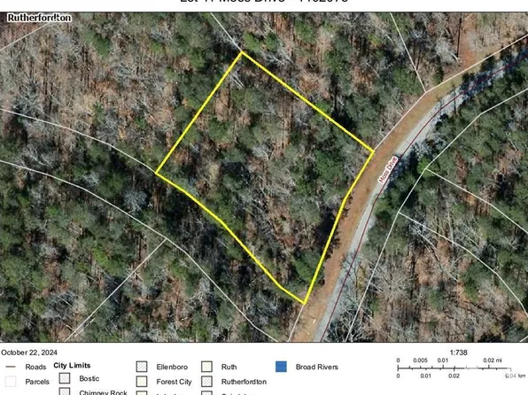 11 Moss Dr, Rutherfordton, NC 28139