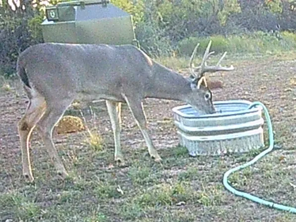 12014 S Fm 600 #B, Abilene, TX 79601