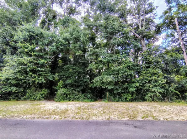0 Baker Ave, Geneva, AL 36340