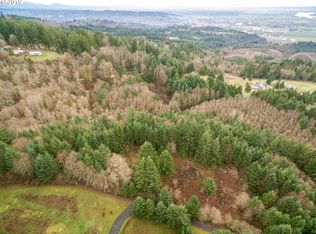 114 Morrison Heights Rd, Woodland, WA 98674