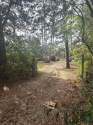 44069 Live Oak Ave — Photo 3