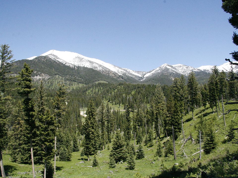 1st image of Jack Creek