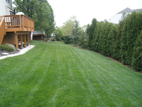 Big,Beautiful and Private Backyard