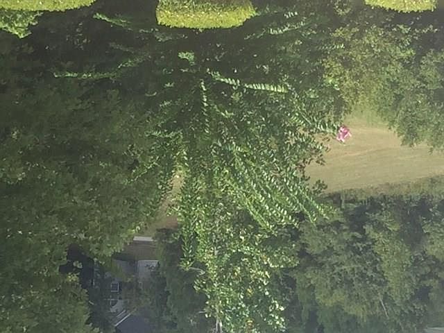 2nd image of 137 Lakeloch Dr