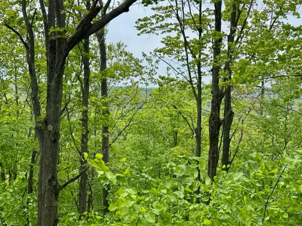 568 Alexander Rd, Vanderbilt, MI 49795