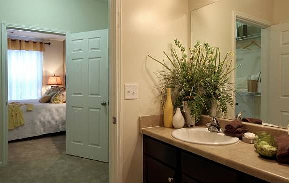 Guest Bath and Closet