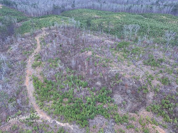 3rd image of 149 County Road 5091