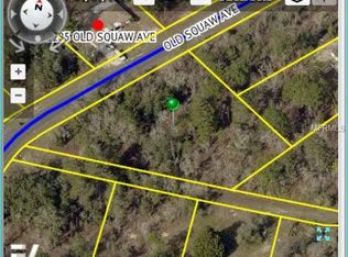 11280 Old Squaw Ave, Weeki Wachee, FL 34614