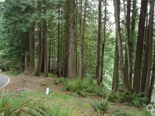 7 Maple Court, Bellingham, WA 98229