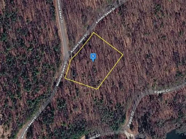 124 Autumn Sweet Dr, Clarkesville, GA 30523