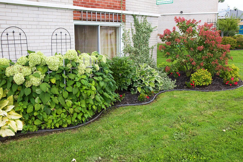 Pine Allard Properties — Photo 4