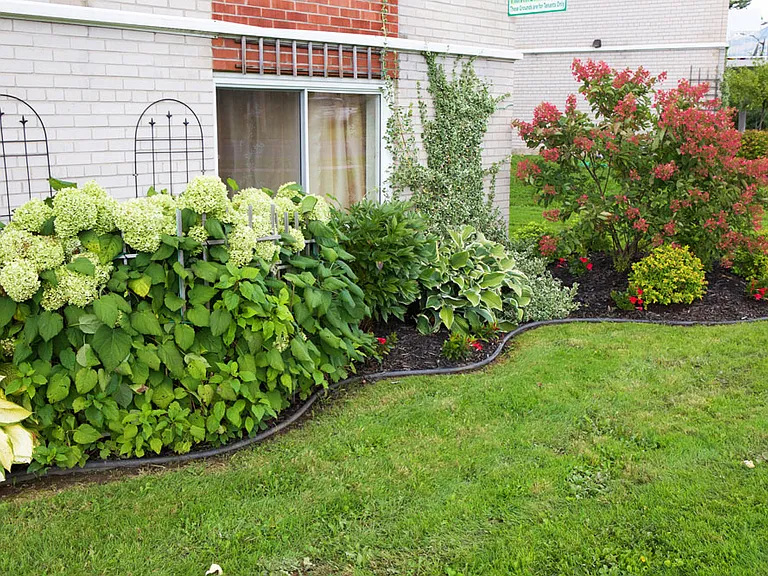 751 Pine St #109 — Photo 4