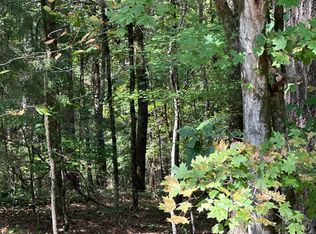 0 Hummingbird Dr LOT 58, Monticello, GA 31064