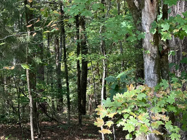 0 Hummingbird Dr Lot 58, Monticello, GA 31064