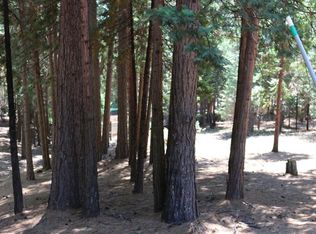 4971 Coralaine Ct, Grizzly Flats, CA 95636