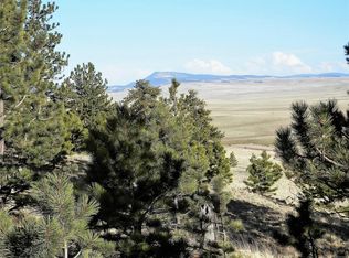 425 Forge Rd, Hartsel, CO 80449