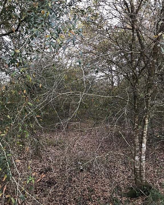 2nd image of 2807 SE Timber Dr