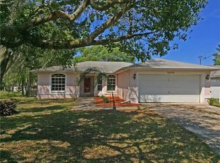 10018 N Connechusett Rd, Tampa, FL 33617