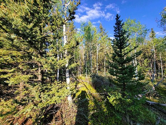 2nd image of 1148 Haida Rd