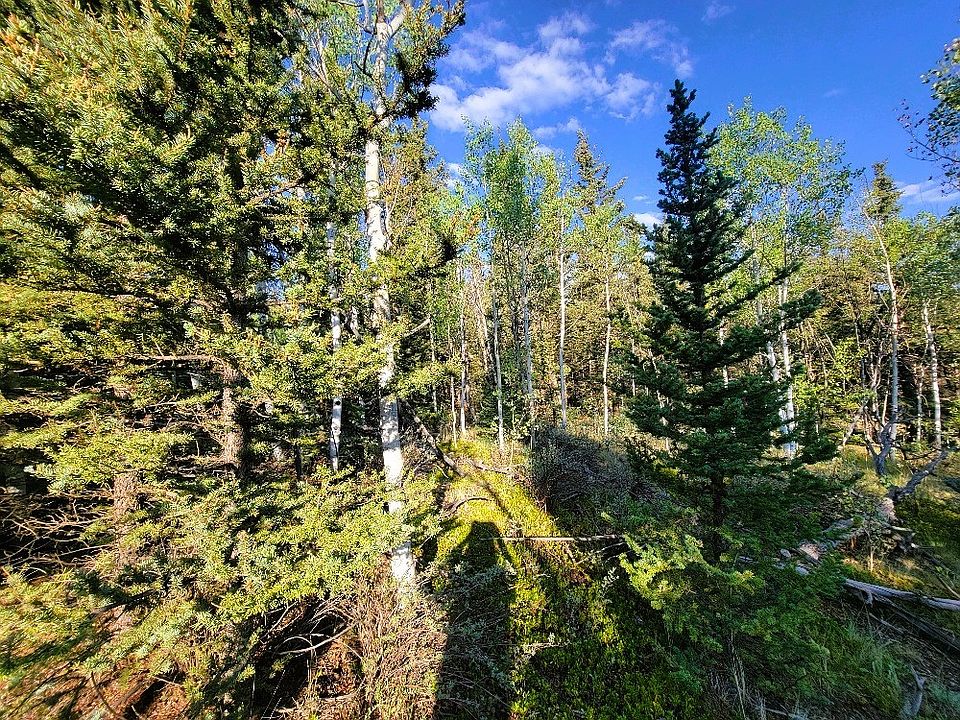 2nd image of 1148 Haida Rd