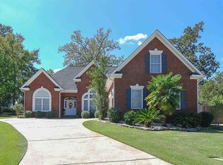 4 Elm Spring Ct, Chapin, SC 29036