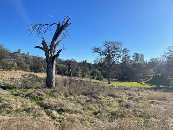 741 Long Hollow Dr, Coarsegold, CA 93614