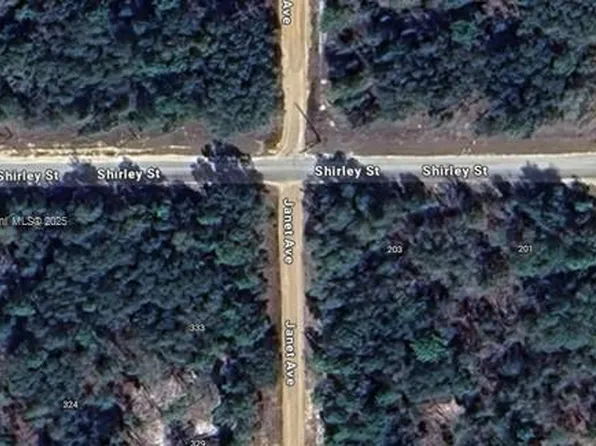 335 Janet Ave, Interlachen, FL 32148